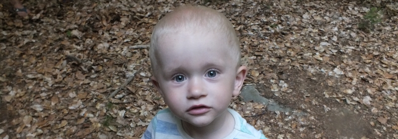 slide_03.jpg